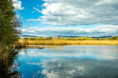 Breitungen göllerinde bahar yürüyüşü harika bir güneş ışığı altında - Thüringen - Almanya