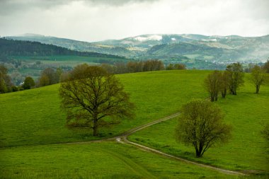 Schmalkalden kasabasındaki Hhenweg patikasında tipik nisan havasıyla kısa bir yürüyüş - Thüringen - Almanya
