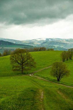 Schmalkalden kasabasındaki Hhenweg patikasında tipik nisan havasıyla kısa bir yürüyüş - Thüringen - Almanya