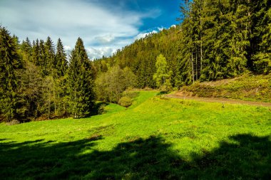 Schmalkalden kasabasındaki Hhenweg patikasında tipik nisan havasıyla kısa bir yürüyüş - Thüringen - Almanya