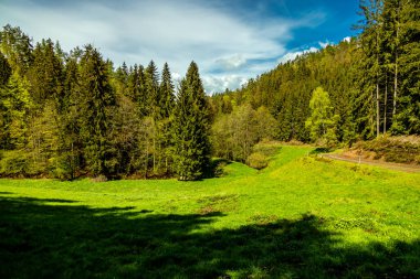 Schmalkalden kasabasındaki Hhenweg patikasında tipik nisan havasıyla kısa bir yürüyüş - Thüringen - Almanya