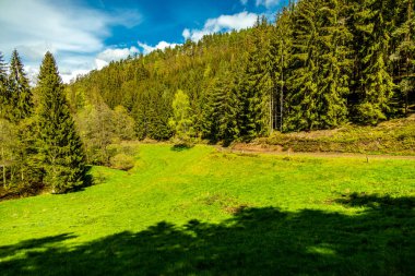 Schmalkalden kasabasındaki Hhenweg patikasında tipik nisan havasıyla kısa bir yürüyüş - Thüringen - Almanya