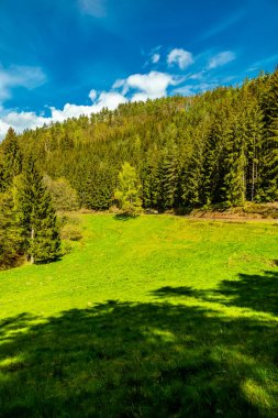 Schmalkalden kasabasındaki Hhenweg patikasında tipik nisan havasıyla kısa bir yürüyüş - Thüringen - Almanya