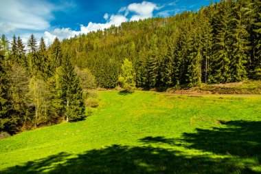 Schmalkalden kasabasındaki Hhenweg patikasında tipik nisan havasıyla kısa bir yürüyüş - Thüringen - Almanya