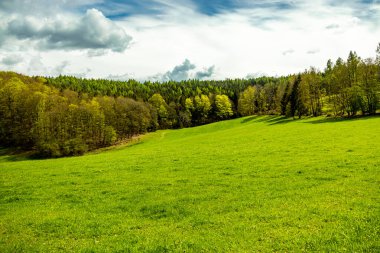 Schmalkalden kasabasındaki Hhenweg patikasında tipik nisan havasıyla kısa bir yürüyüş - Thüringen - Almanya