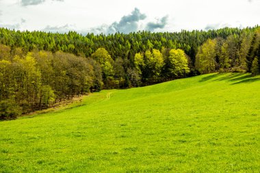 Schmalkalden kasabasındaki Hhenweg patikasında tipik nisan havasıyla kısa bir yürüyüş - Thüringen - Almanya