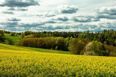 Schmalkalden kasabasındaki Hhenweg patikasında tipik nisan havasıyla kısa bir yürüyüş - Thüringen - Almanya