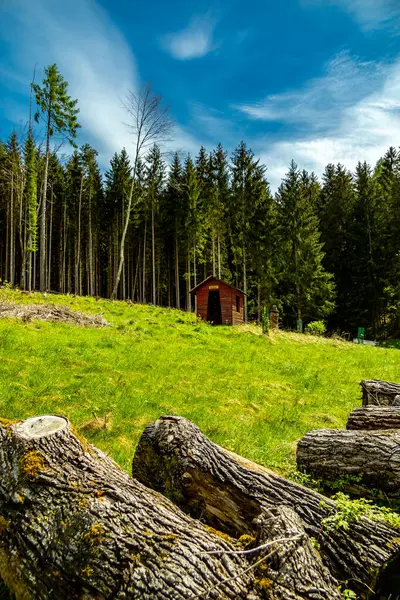 Schmalkalden kasabasındaki Hhenweg patikasında tipik nisan havasıyla kısa bir yürüyüş - Thüringen - Almanya