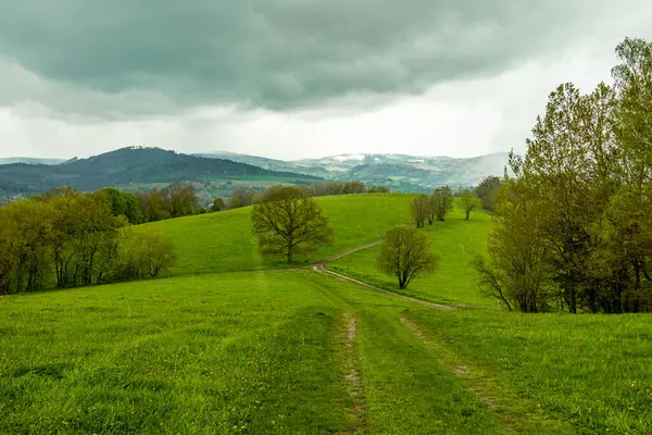 Короткий Поход Горной Тропе Городе Шмальфеден Типичной Апрельской Погодой Тюрингия Стоковое Изображение