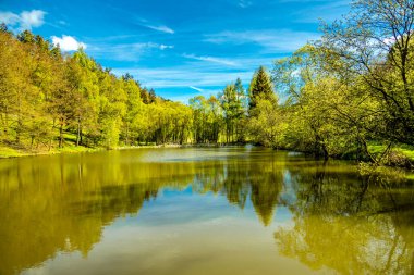 Sabahın erken saatlerinde Schmalkalden kasabasında güzel manzarası Thüringen - Almanya