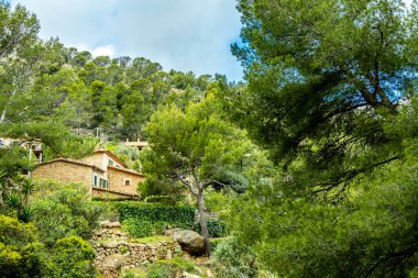 İspanya, Mallorca 'nın güzel Balear adasındaki Cala de Dei körfezine doğru kıyı yürüyüşü.