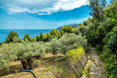 İspanya, Mallorca 'nın güzel Balear adasındaki Cala de Dei körfezine doğru kıyı yürüyüşü.
