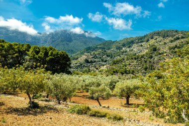 İspanya, Mallorca 'nın güzel Balear adasındaki Cala de Dei körfezine doğru kıyı yürüyüşü.