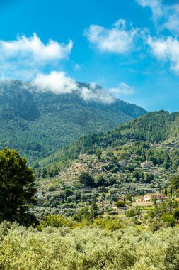 İspanya, Mallorca 'nın güzel Balear adasındaki Cala de Dei körfezine doğru kıyı yürüyüşü.