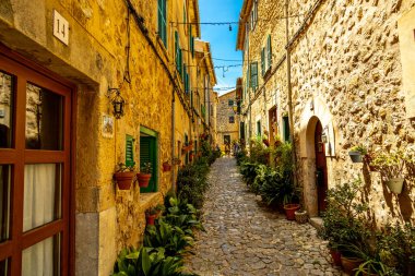 Serra de Tramuntana bölgesinin kuzeybatısındaki güzel Valldemossa kasabasında kısa bir mola.
