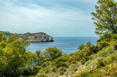 İspanya 'nın Mallorca adasının güneyindeki Sant Elm kıyı kasabasındaki D' en Grau kıyı yolunda küçük ama güzel bir yürüyüş.