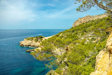 İspanya 'nın Mallorca adasının güneyindeki Sant Elm kıyı kasabasındaki D' en Grau kıyı yolunda küçük ama güzel bir yürüyüş.
