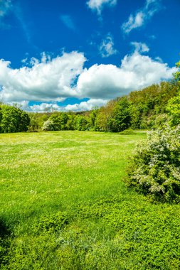 Summer hike through the unique Werra Valley near Vacha - Thuringia - Germany