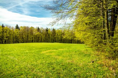Riedenberg yakınlarındaki Schwarzen Berge 'deki Sinntal Vadisi' nden Bavyera 'ya bahar yürüyüşü.