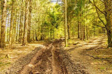 Riedenberg yakınlarındaki Schwarzen Berge 'deki Sinntal Vadisi' nden Bavyera 'ya bahar yürüyüşü.