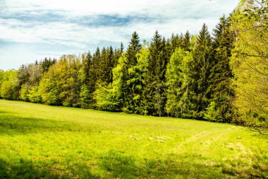 Riedenberg yakınlarındaki Schwarzen Berge 'deki Sinntal Vadisi' nden Bavyera 'ya bahar yürüyüşü.