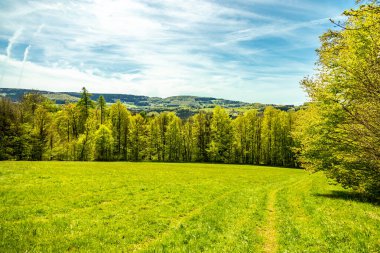 Riedenberg yakınlarındaki Schwarzen Berge 'deki Sinntal Vadisi' nden Bavyera 'ya bahar yürüyüşü.