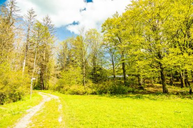 Riedenberg yakınlarındaki Schwarzen Berge 'deki Sinntal Vadisi' nden Bavyera 'ya bahar yürüyüşü.