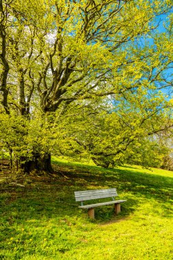 Riedenberg yakınlarındaki Schwarzen Berge 'deki Sinntal Vadisi' nden Bavyera 'ya bahar yürüyüşü.