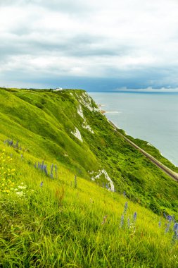 Hoşgeldiniz İngiltere - Folkestone yakınlarındaki güzel kırsala hoş geldiniz - Kent - İngiltere
