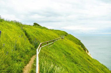 Hoşgeldiniz İngiltere - Folkestone yakınlarındaki güzel kırsala hoş geldiniz - Kent - İngiltere