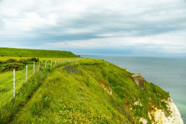 Hoşgeldiniz İngiltere - Folkestone yakınlarındaki güzel kırsala hoş geldiniz - Kent - İngiltere