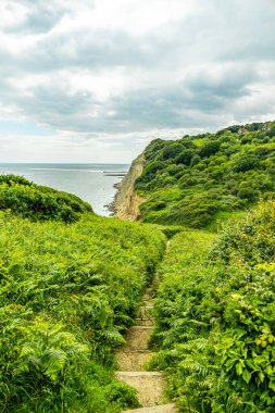 Hastings liman kasabasında bir gezinti ve güzel sahil şeridi Sussex İngiltere