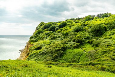 Hastings liman kasabasında bir gezinti ve güzel sahil şeridi Sussex İngiltere