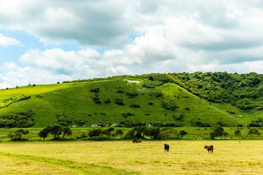 Litlington - Sussex - Birleşik Krallık yakınlarındaki Ulusal Vakıf 'ta Beyaz At' a kısa bir mola veriyoruz.
