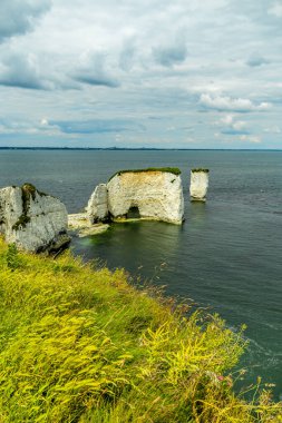 Birleşik Krallık 'ın Swanage-Dorset liman kasabasındaki Old Harry Rocks' a kısa bir yürüyüş turu.