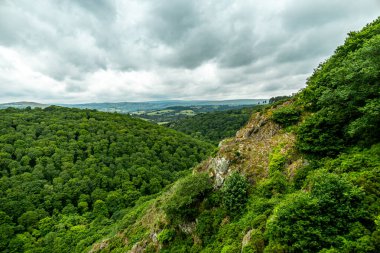 Drogo Kalesi 'nden Fingle Köprüsü' ne kadar güzel Dartmoor Ulusal Parkı 'nda yürüyün.