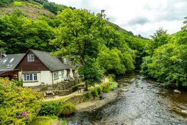 Drogo Kalesi 'nden Fingle Köprüsü' ne kadar güzel Dartmoor Ulusal Parkı 'nda yürüyün.
