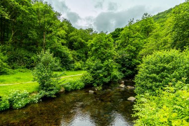 Drogo Kalesi 'nden Fingle Köprüsü' ne kadar güzel Dartmoor Ulusal Parkı 'nda yürüyün.