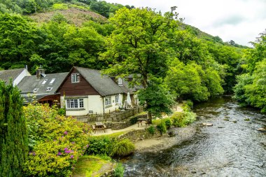 Drogo Kalesi 'nden Fingle Köprüsü' ne kadar güzel Dartmoor Ulusal Parkı 'nda yürüyün.