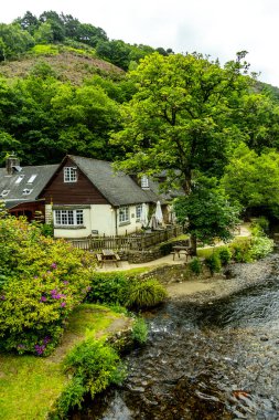 Drogo Kalesi 'nden Fingle Köprüsü' ne kadar güzel Dartmoor Ulusal Parkı 'nda yürüyün.