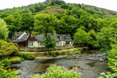 Drogo Kalesi 'nden Fingle Köprüsü' ne kadar güzel Dartmoor Ulusal Parkı 'nda yürüyün.