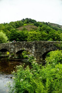 Walk through the beautiful Dartmoor National Park from Castle Drogo to Fingle Bridge - Exeter - United Kingdom clipart