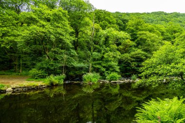 Drogo Kalesi 'nden Fingle Köprüsü' ne kadar güzel Dartmoor Ulusal Parkı 'nda yürüyün.