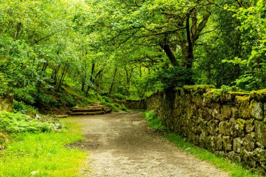 Drogo Kalesi 'nden Fingle Köprüsü' ne kadar güzel Dartmoor Ulusal Parkı 'nda yürüyün.