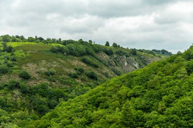Drogo Kalesi 'nden Fingle Köprüsü' ne kadar güzel Dartmoor Ulusal Parkı 'nda yürüyün.