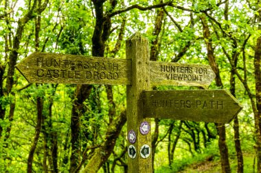 Drogo Kalesi 'nden Fingle Köprüsü' ne kadar güzel Dartmoor Ulusal Parkı 'nda yürüyün.