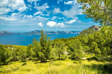 İspanya 'nın Mallorca adasındaki Alcdia Körfezi' nin muhteşem manzaralı Talaia d 'Alcdia Dağı' na yürüyüş.