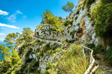 İspanya 'nın Mallorca adasındaki Alcdia Körfezi' nin muhteşem manzaralı Talaia d 'Alcdia Dağı' na yürüyüş.