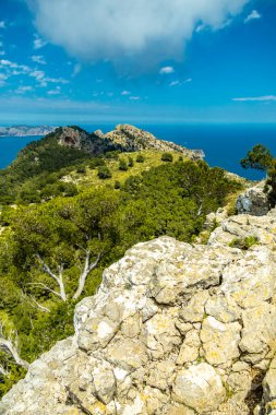 İspanya 'nın Mallorca adasındaki Alcdia Körfezi' nin muhteşem manzaralı Talaia d 'Alcdia Dağı' na yürüyüş.