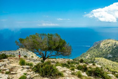 İspanya 'nın Mallorca adasındaki Alcdia Körfezi' nin muhteşem manzaralı Talaia d 'Alcdia Dağı' na yürüyüş.